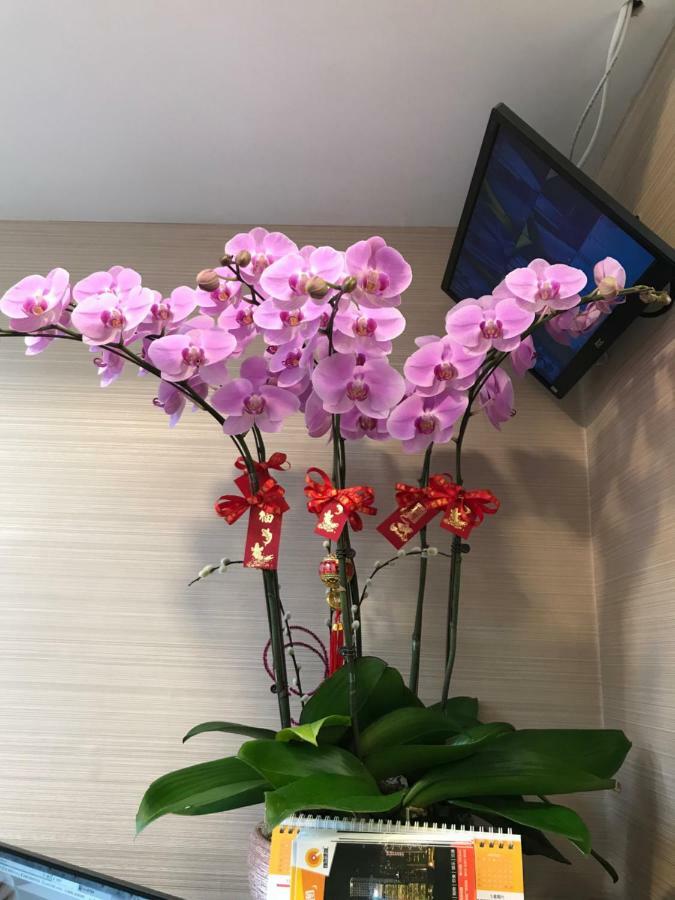 Vve Vve Hotel 홍콩 외부 사진